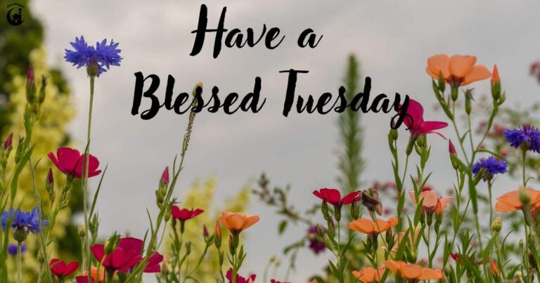 60 Heartfelt Tuesday Prayers & Blessings for a Peaceful Day