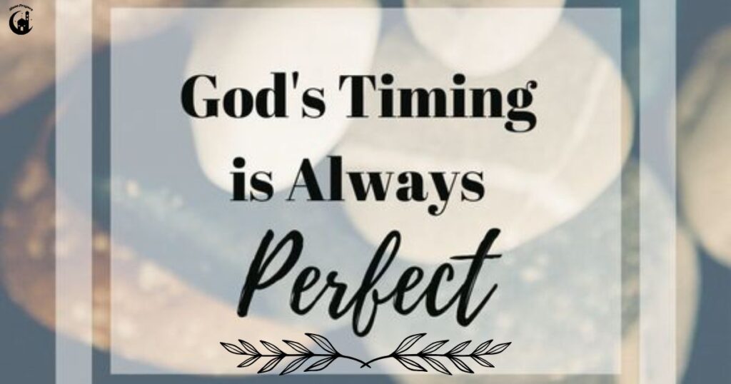🌿 A Time for Every Season – God’s Perfect Timing