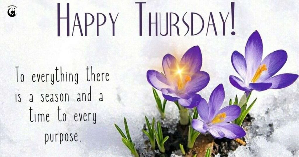 Good Morning and Happy Thursday Messages