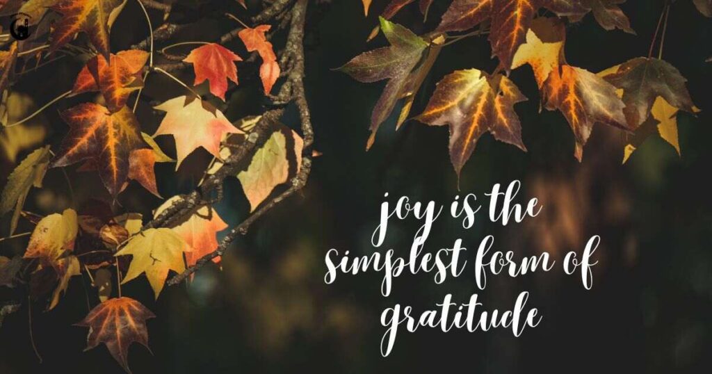 Reflecting on Abundance with Prayer for Gratitude