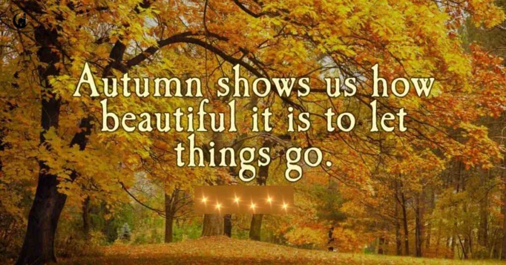 What Does the Bible Say About the Beauty of Autumn?