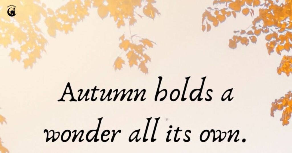 What is Your Favourite Fall?