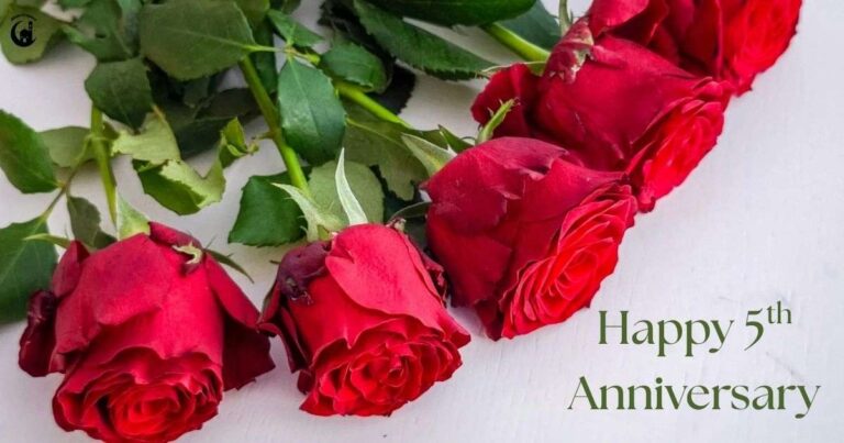 5 Years of Togetherness: Celebrating Half a Decade of Love, Growth, and Beautiful Memories