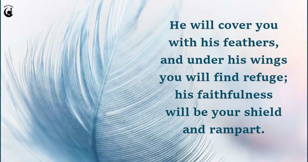 Feeling Safe in the Midst of Chaos