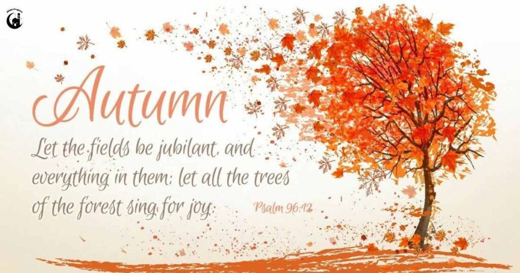 What's Your Favourite Things About Autumn?