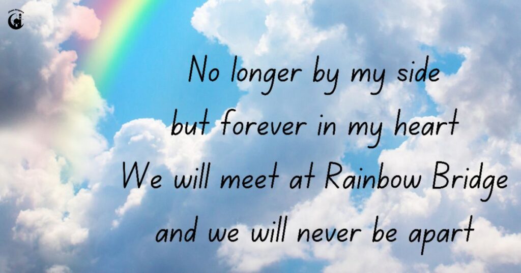 The Rainbow Bridge Legend: Origins and Meaning Behind Pet Afterlife Beliefs