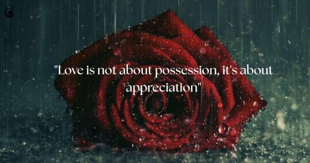 Using Secret Love Quotes for Emotional Expression